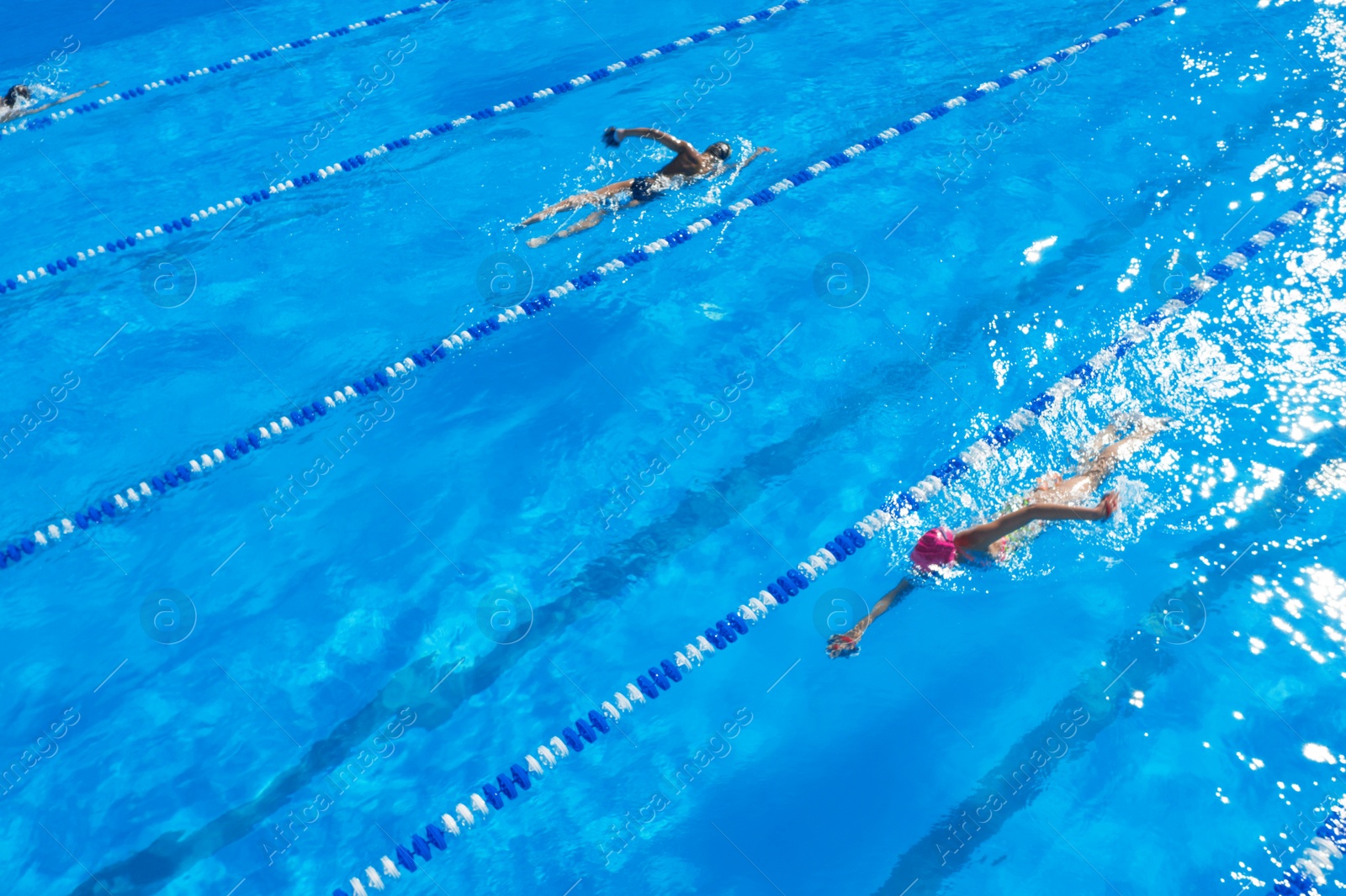 Image of People training in outdoor swimming pool on sunny day 