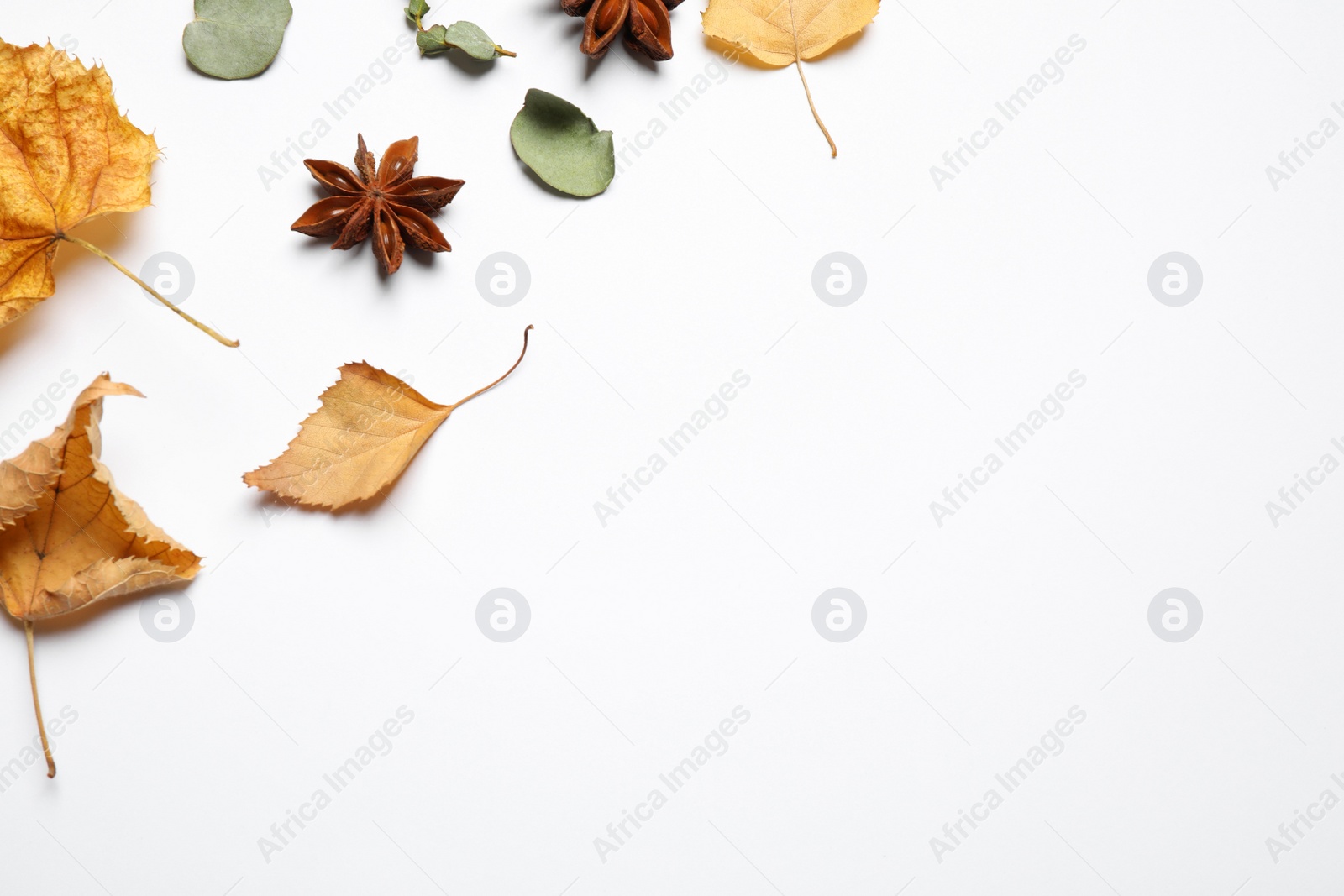 Photo of Flat lay composition with autumn leaves and space for text on white background