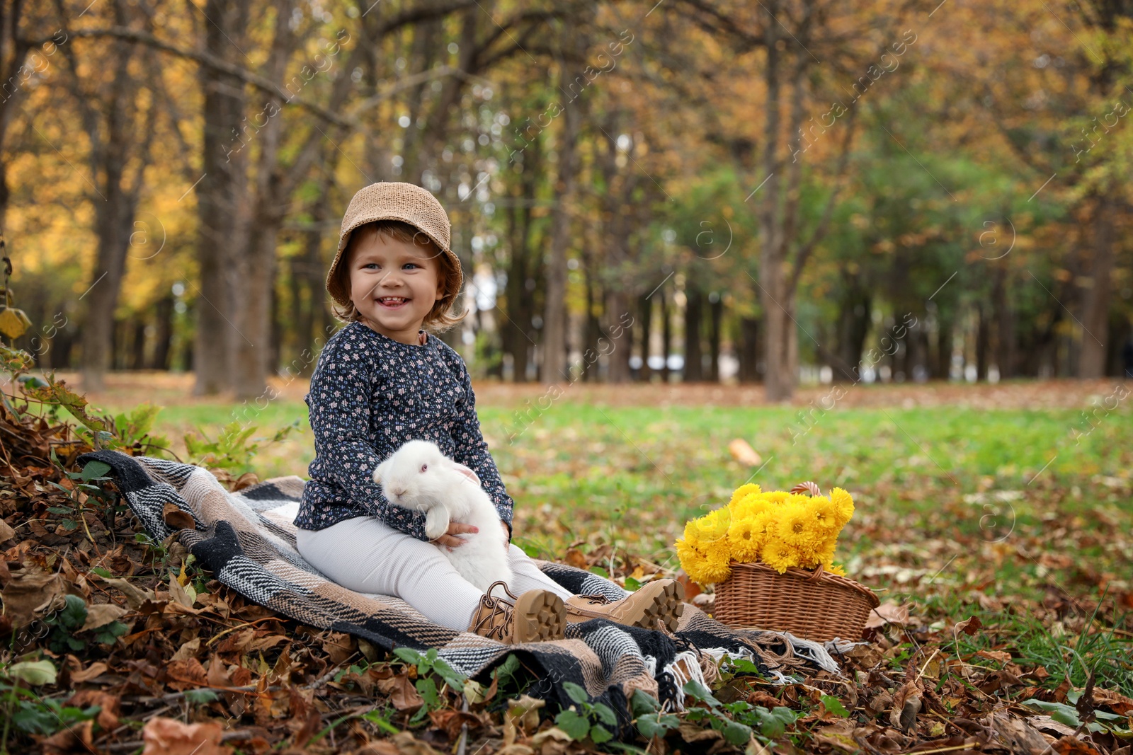 Photo of Girl with cute white rabbit in autumn park, space for text