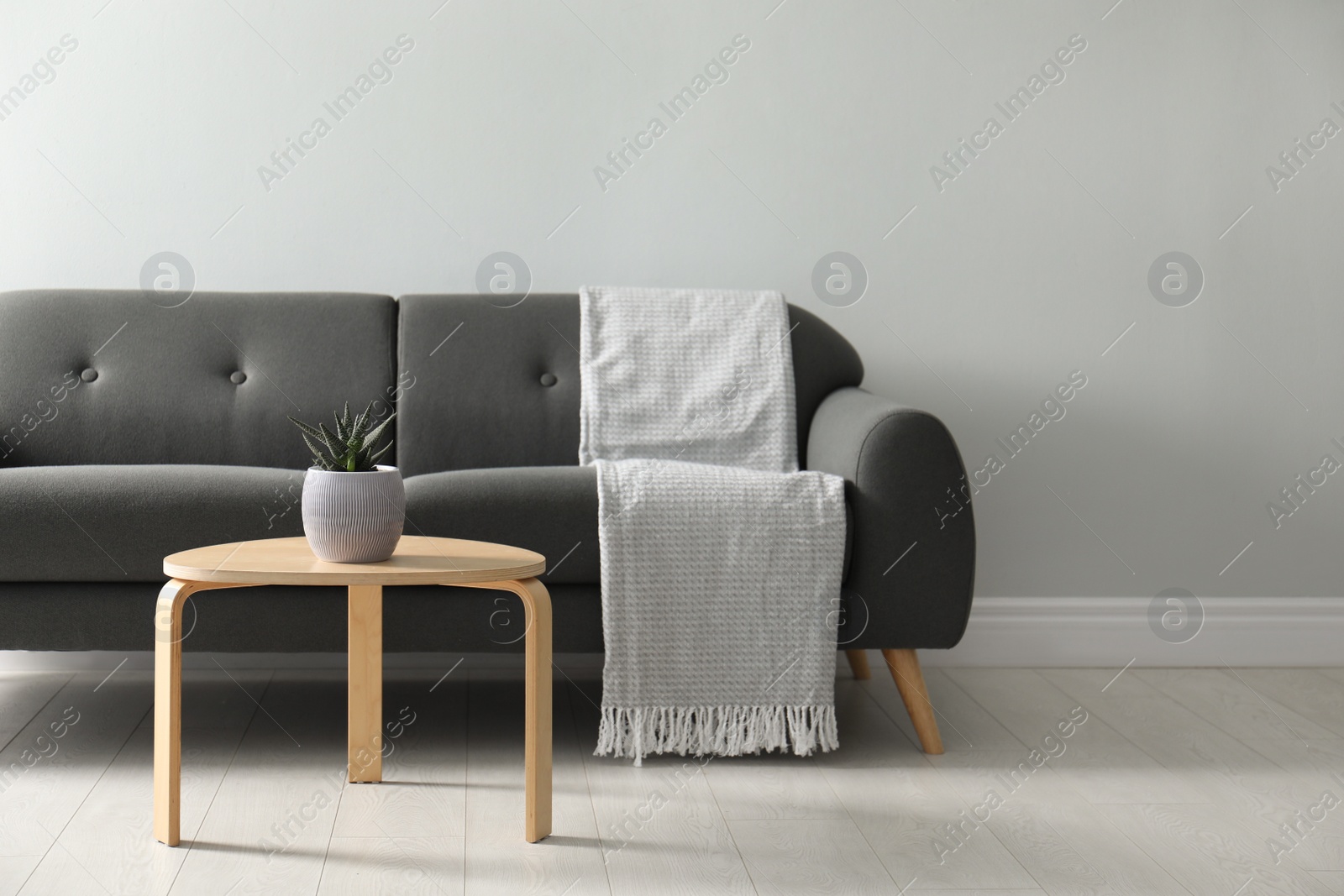 Photo of Stylish living room interior with comfortable grey sofa and beautiful plant