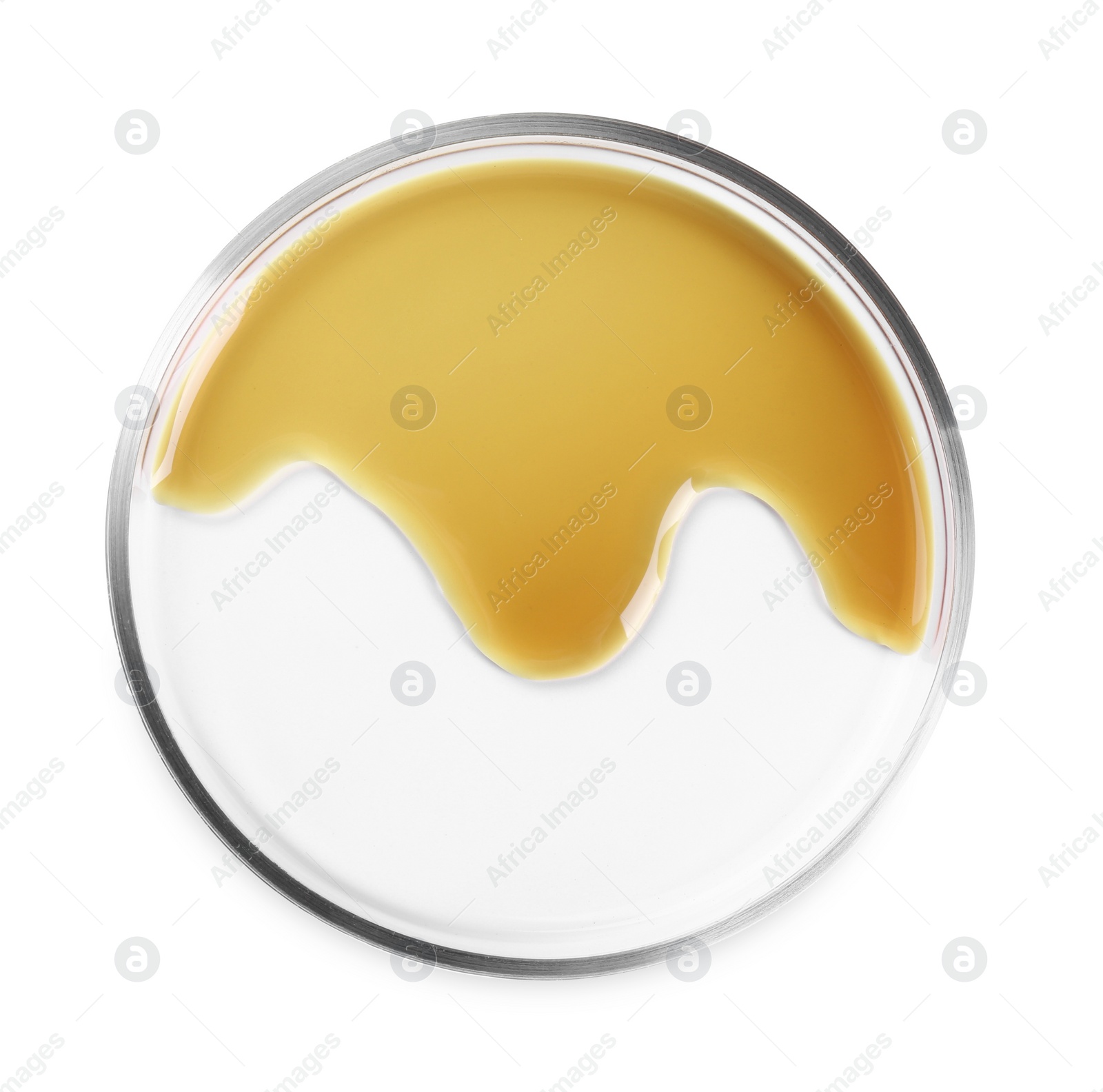 Photo of Petri dish with color liquid sample isolated on white, top view