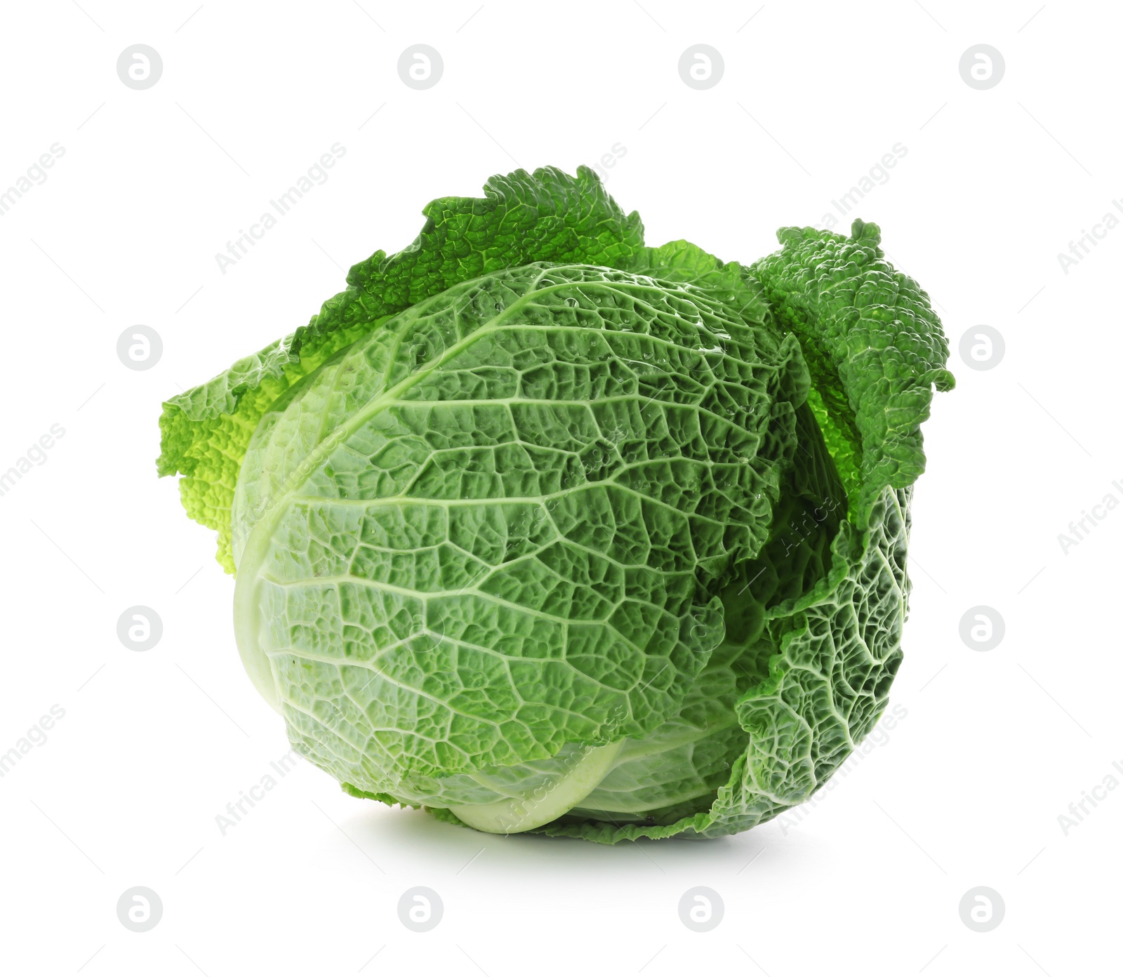 Photo of Fresh green savoy cabbage on white background