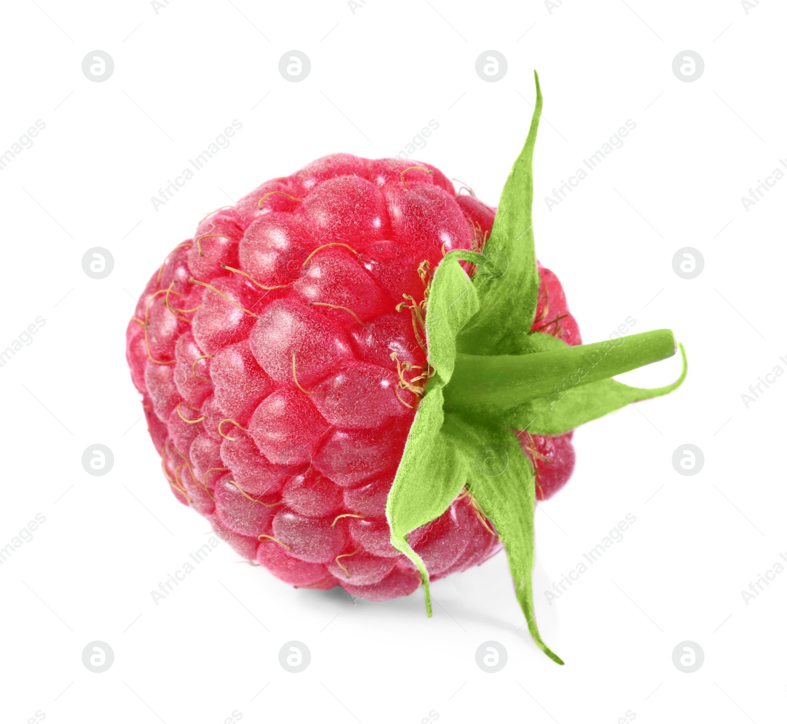 Photo of One tasty ripe raspberry isolated on white