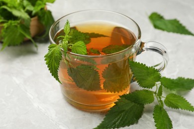 Glass cup of aromatic nettle tea and green leaves on light grey table, closeup