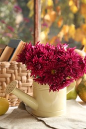 Photo of Beautiful chrysanthemum flowers in watering can on table indoors. Autumn still life