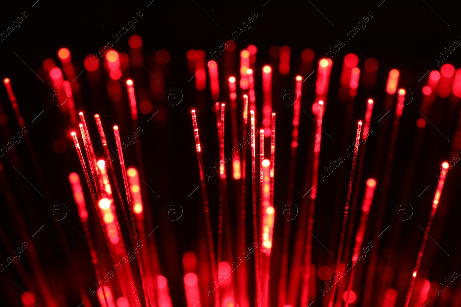 Photo of Optical fiber strands transmitting red light on black background, closeup