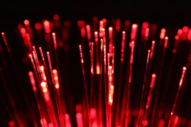 Photo of Optical fiber strands transmitting red light on black background, closeup