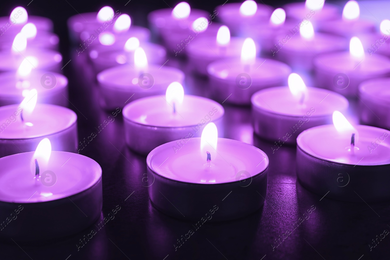 Image of Beautiful burning violet candles on black background, closeup. Funeral attributes