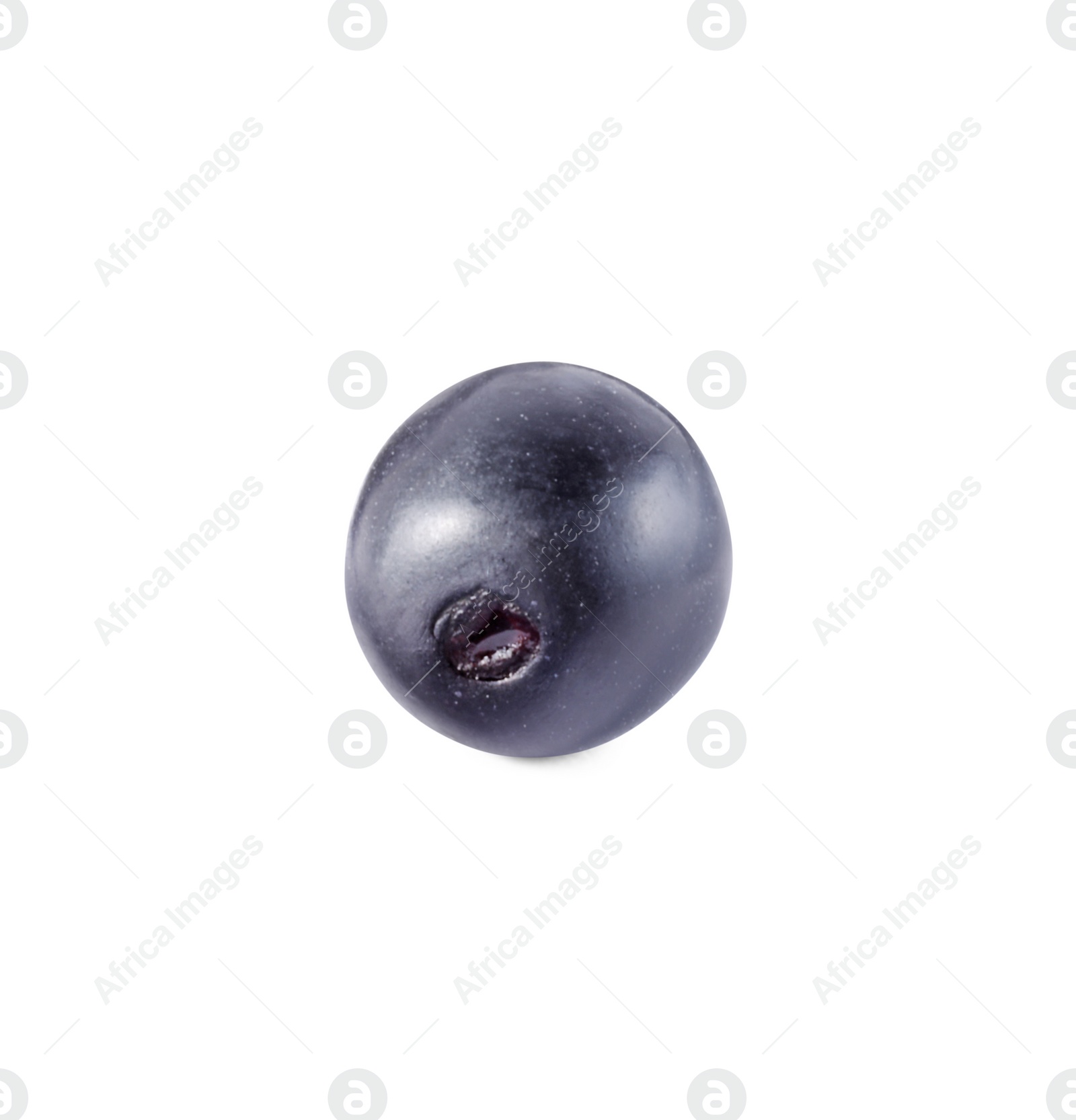 Photo of One tasty ripe bilberry isolated on white