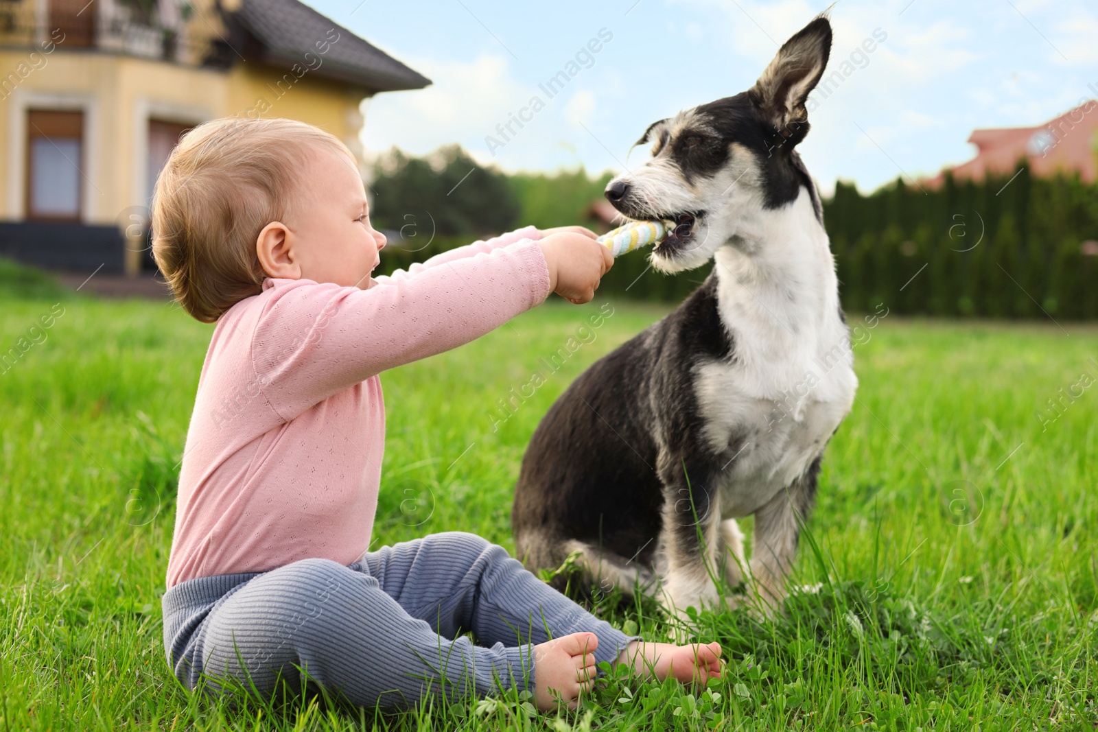 Photo of Adorable baby and furry little dog on green grass outdoors