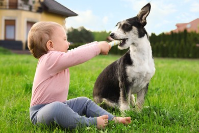 Photo of Adorable baby and furry little dog on green grass outdoors