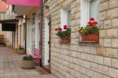 Photo of Beautiful potted flowers on windows of modern store