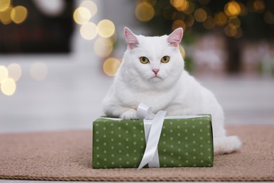 Photo of Christmas atmosphere. Adorable cat with gift box on carpet in cosy room