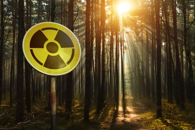 Image of Radioactive pollution. Yellow warning sign with hazard symbol near contaminated area in forest. Space for text