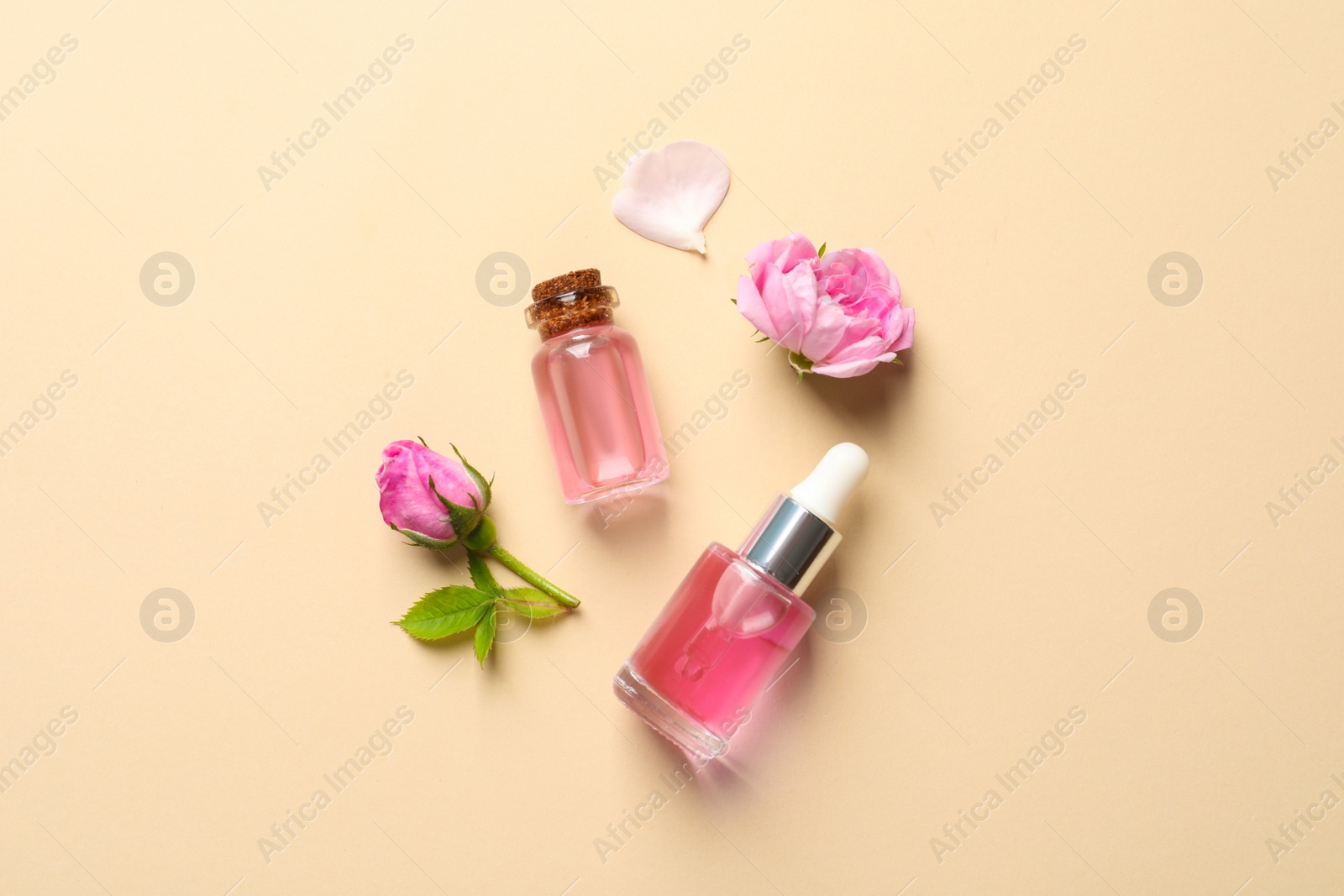 Photo of Fresh flowers and bottles of rose essential oil on color background, flat lay