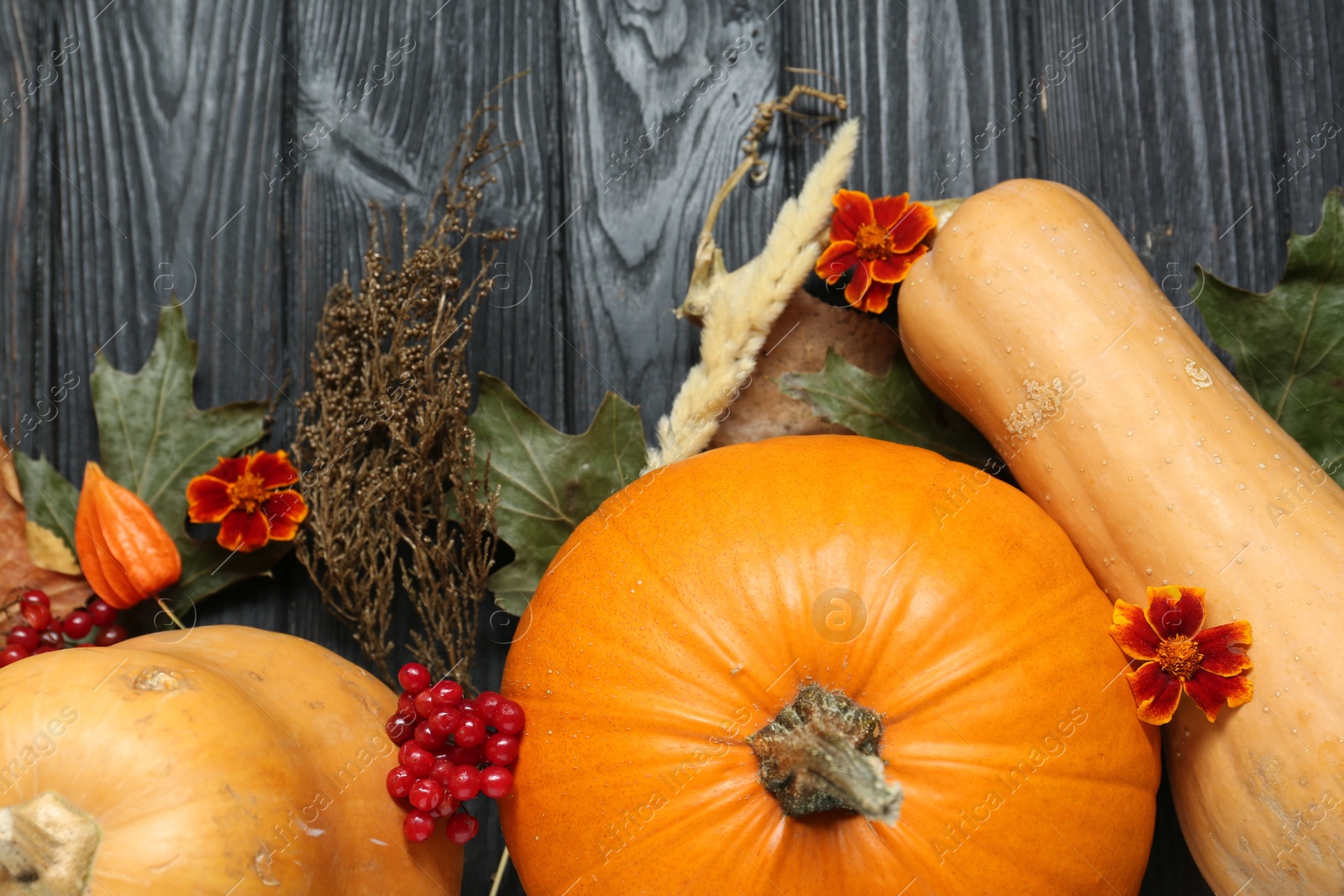 Photo of Thanksgiving day. Flat lay composition with pumpkins on black wooden table