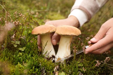 Man cutting porcini mushrooms with knife outdoors, closeup