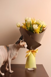 Cute Sphynx cat near bouquet with beautiful spring flowers on wooden table