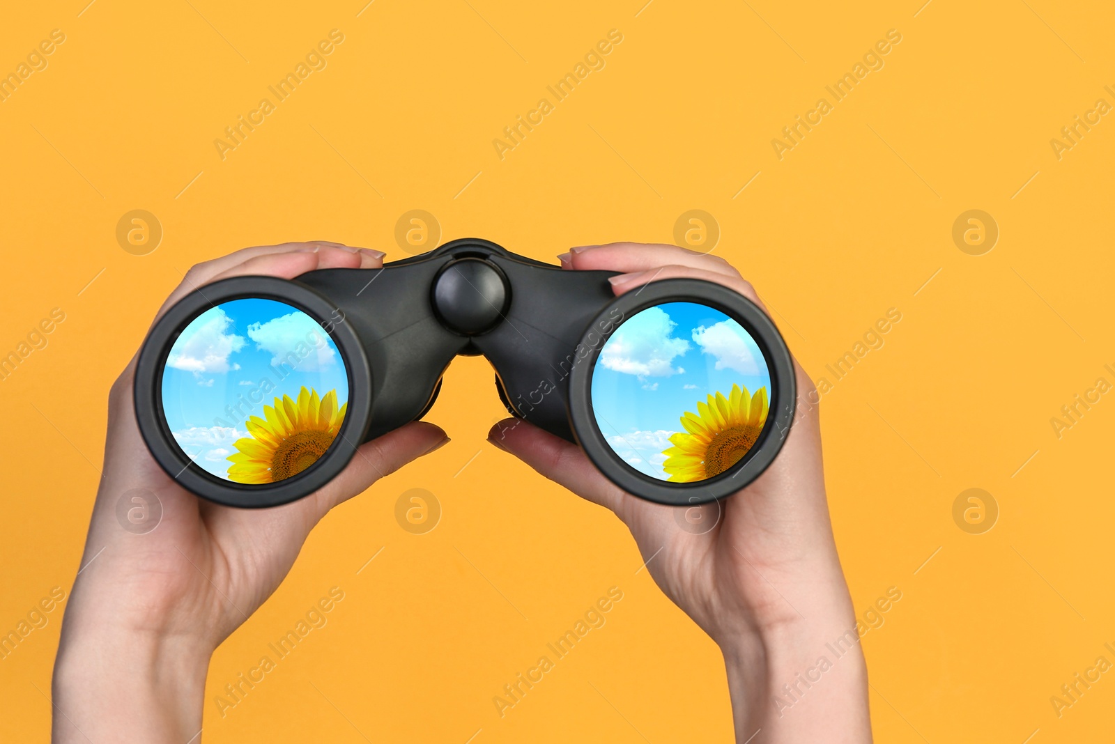 Image of Woman holding binoculars on yellow background, closeup. Sunflower reflecting in lenses