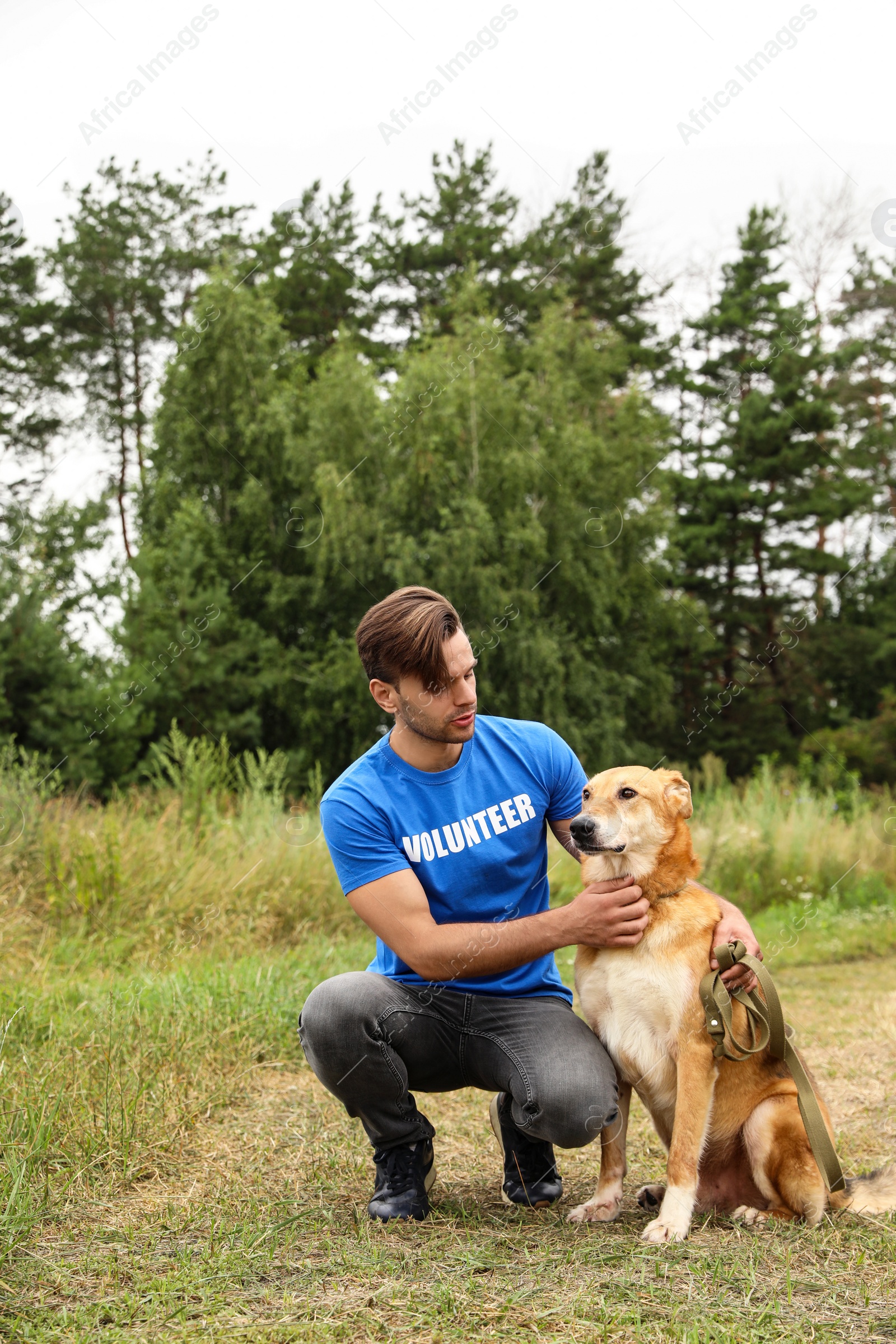 Photo of Male volunteer with homeless dog at animal shelter outdoors