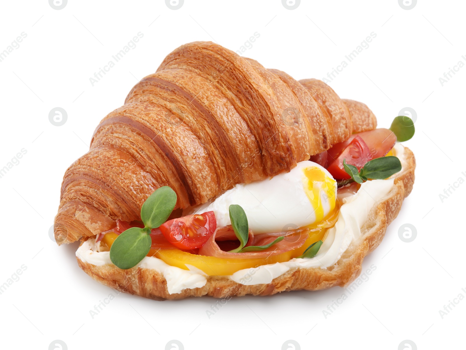 Photo of Tasty croissant with fried egg, tomato and microgreens isolated on white