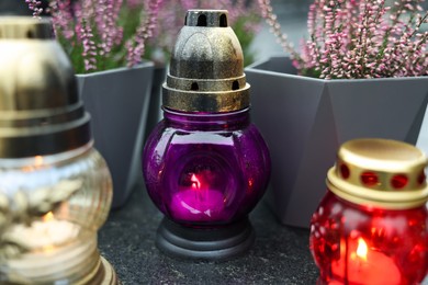 Grave lights with potted heather on granite surface at cemetery, closeup