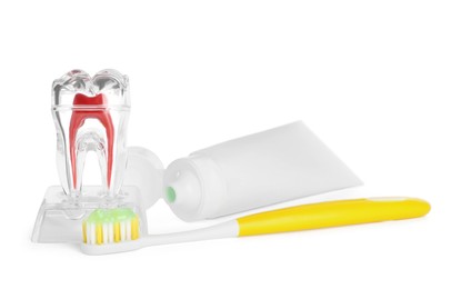 Photo of Educational model of tooth, paste and brush on white background