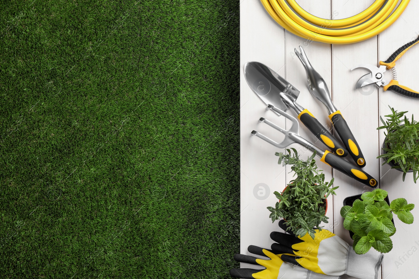 Photo of Different gardening tools and plants on green grass, flat lay. Space for text