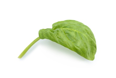 Photo of Fresh leaf of spinach isolated on white