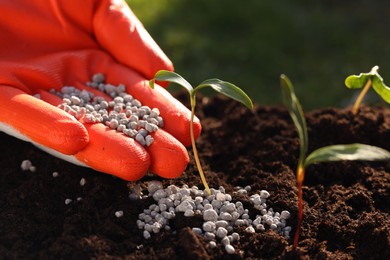 Photo of Man fertilizing soil with growing young sprouts outdoors, closeup