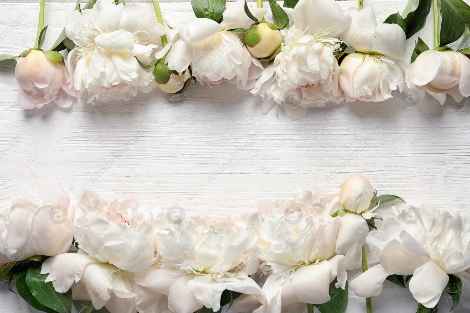 Photo of Flat lay composition with beautiful blooming peonies on wooden background