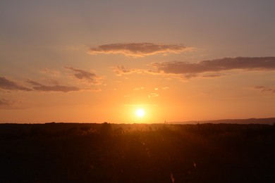 Picturesque view of beautiful field at sunset