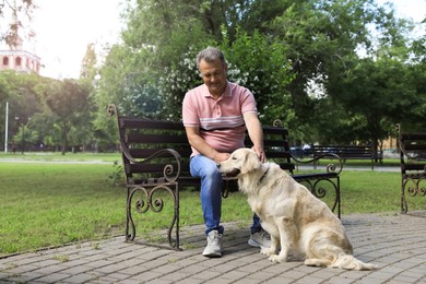 Photo of Happy senior man with his Golden Retriever dog in park