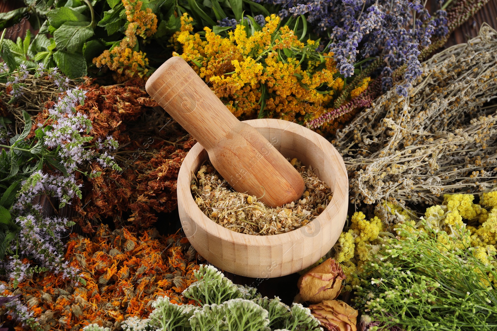 Photo of Mortar with pestle and many different herbs