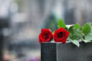 Photo of Red roses on black granite tombstone outdoors. Funeral ceremony