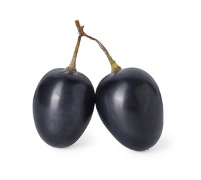 Photo of Two ripe dark blue grapes isolated on white