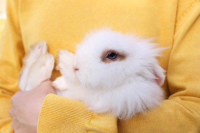 Woman with fluffy white rabbit, closeup. Cute pet