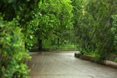 View of heavy pouring rain in green park