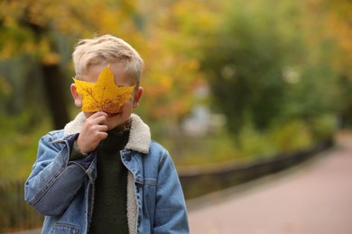 Photo of Boy covering face with autumn dry leaf in park, space for text