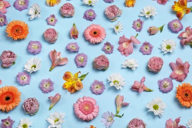 Photo of Flat lay composition with different beautiful flowers on light blue background