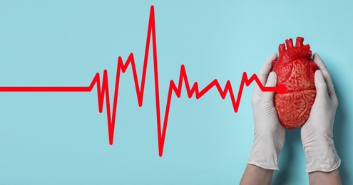 Image of Doctor holding heart model on light blue background, top view