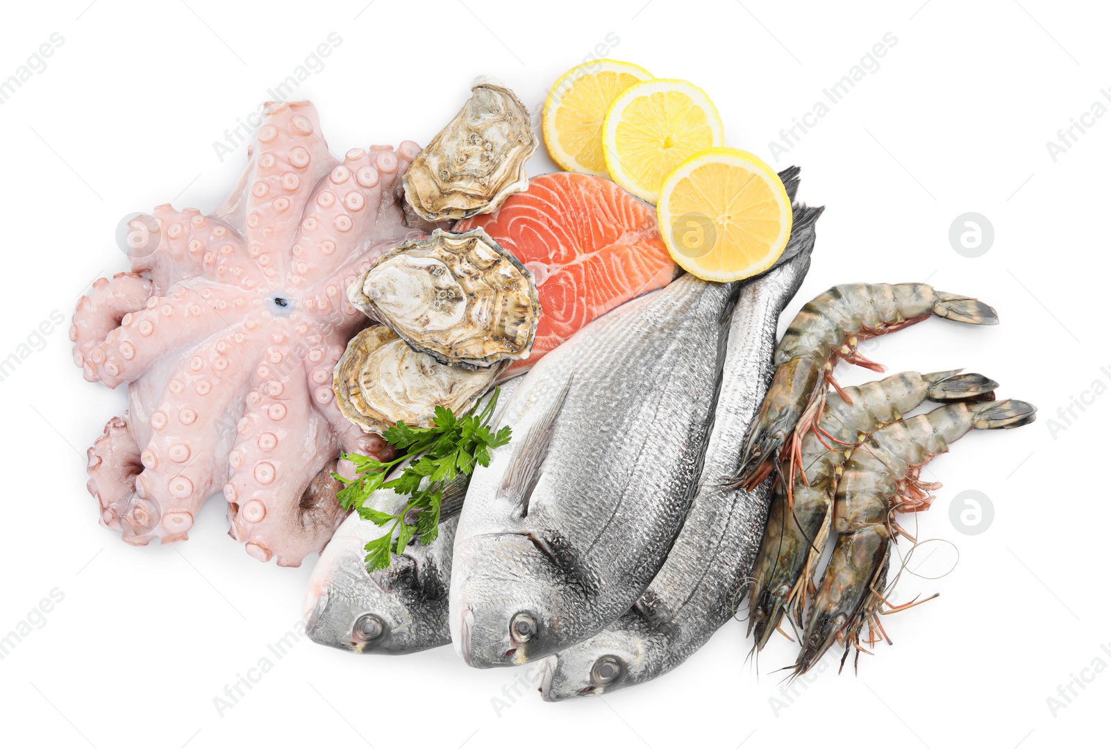 Photo of Fresh dorado fish, octopus, shrimps, oysters and salmon on white background, top view