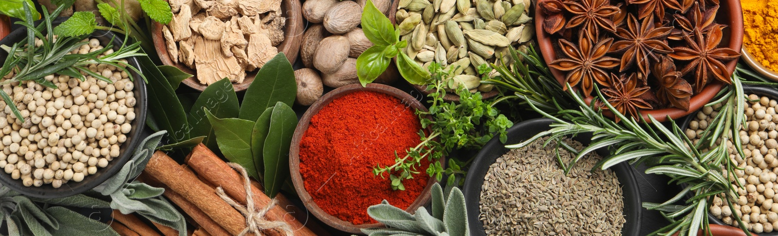 Image of Different herbs and spices on black table, top view. Banner design