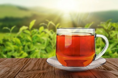 Image of Cup of hot freshly brewed rooibos tea on wooden table outdoors