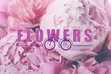 Image of Flowers delivery 24/7 service. Beautiful pink peonies and illustration of bicycle