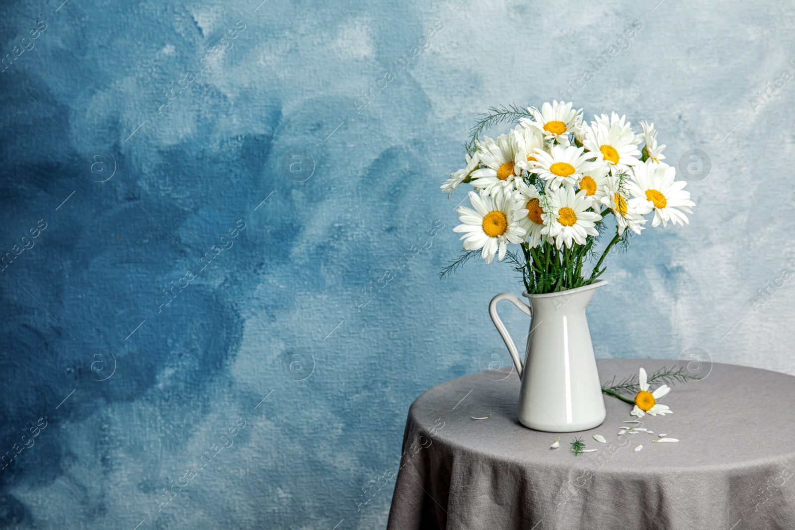 Photo of Jug with beautiful chamomile flowers on table against color background