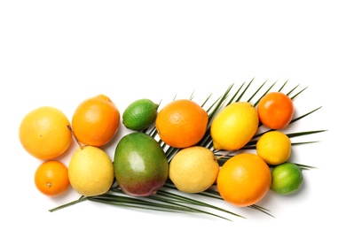 Photo of Set of fresh tropical fruits on white background