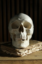 Photo of Human skull and old book on wooden table
