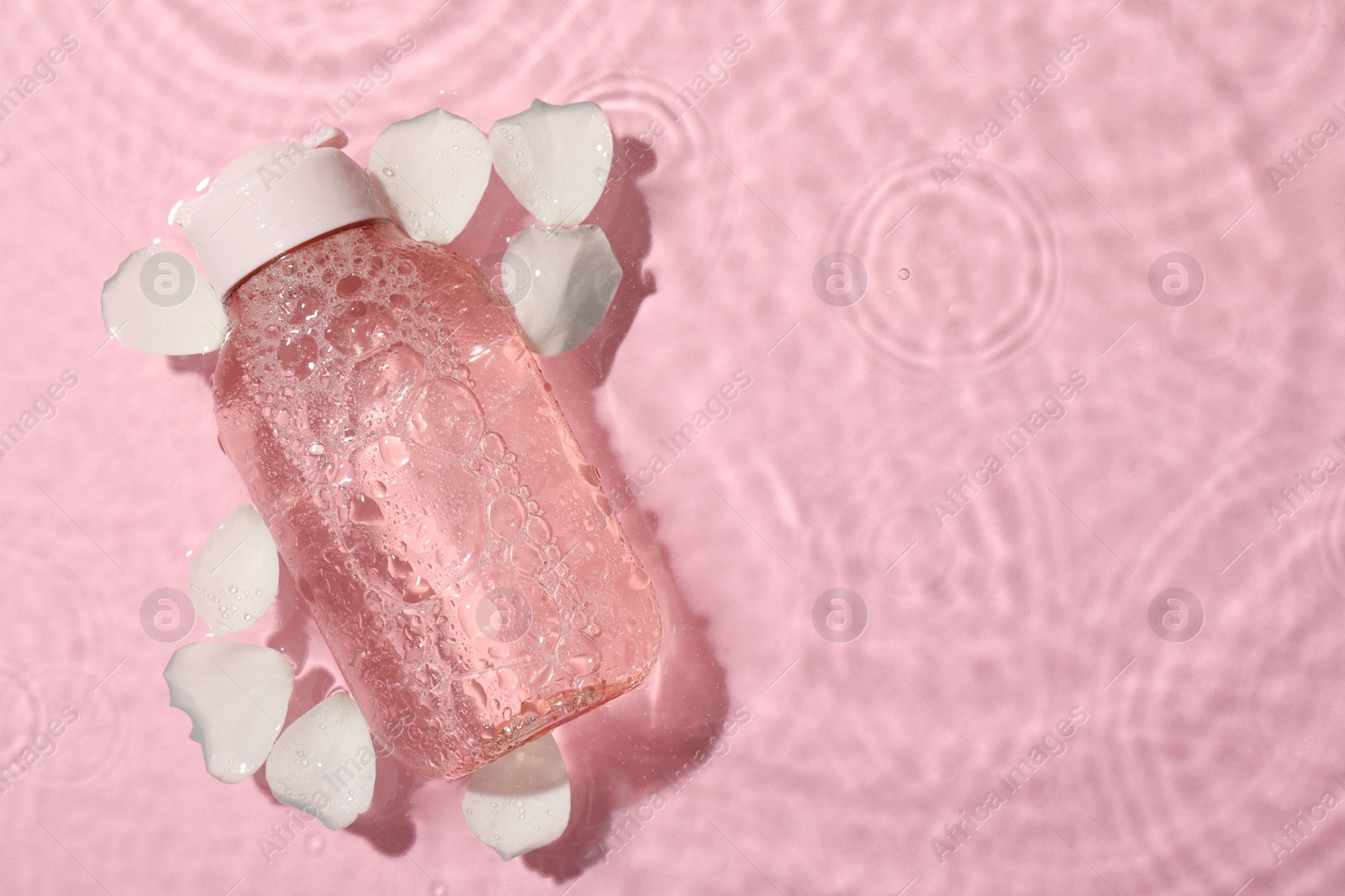 Photo of Wet bottle of micellar water and petals on pink background, top view. Space for text