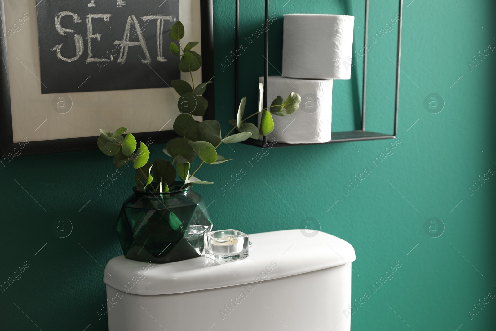 Photo of Decor elements, paper rolls and toilet bowl near green wall. Bathroom interior